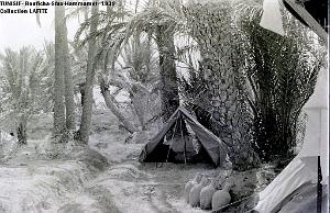 TUNISIE 1939  66 EME  REGIMENT D ARTILLERIE (48)